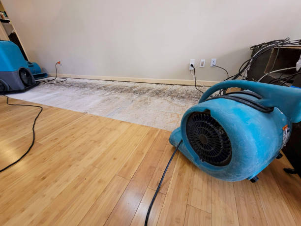 Professional Sewage Cleanup technician working in Mount Laguna, CA